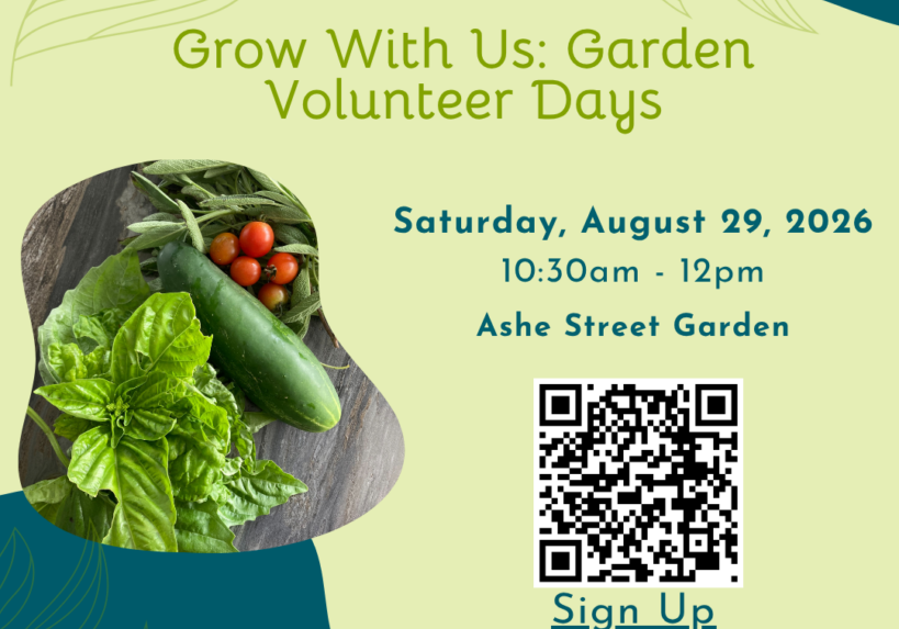 Ashe Street Garden Workday-5
